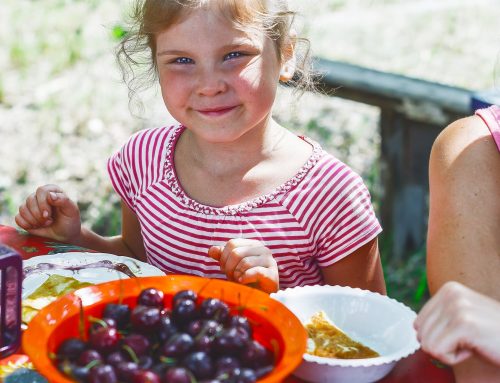 5 Snack Tips for Kids (and Adults, too!)